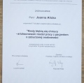 Powiększ obraz: certificate 2