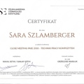 Powiększ obraz: certificate 14