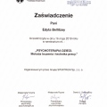 Powiększ obraz: certificate 20