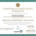 Powiększ obraz: certificate 12
