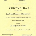 Powiększ obraz: certificate 19