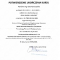 Powiększ obraz: certificate 13