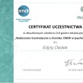 Powiększ obraz: certificate 11