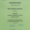 Powiększ obraz: certificate 3