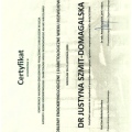 Powiększ obraz: certificate 24