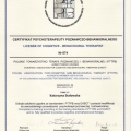 Powiększ obraz: certificate 1