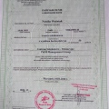 Powiększ obraz: certificate 6