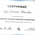 Powiększ obraz: certificate 6