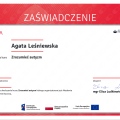 Powiększ obraz: certificate 5