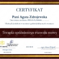 Powiększ obraz: certificate 8