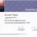 Powiększ obraz: certificate 23