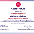 Powiększ obraz: certificate 6
