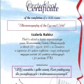 Powiększ obraz: certificate 7