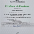 Powiększ obraz: certificate 2