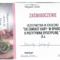 Powiększ obraz: certificate 2
