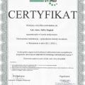 Powiększ obraz: certificate 19