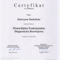 Powiększ obraz: certificate 20