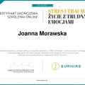 Powiększ obraz: certificate 32