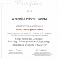 Powiększ obraz: certificate 7