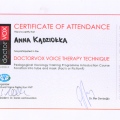 Powiększ obraz: certificate 12