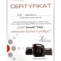 Powiększ obraz: certificate 2