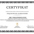 Powiększ obraz: certificate 3