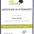Powiększ obraz: certificate 12