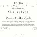 Powiększ obraz: certificate 16