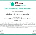 Powiększ obraz: certificate 5