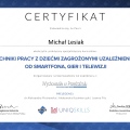 Powiększ obraz: certificate 49
