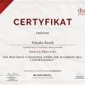 Powiększ obraz: certificate 13
