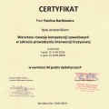 Powiększ obraz: certificate 1