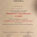 Powiększ obraz: certificate 5