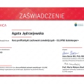 Powiększ obraz: certificate 7