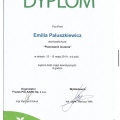 Powiększ obraz: certificate 6