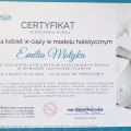 Powiększ obraz: certificate 4