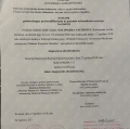 Powiększ obraz: certificate 4