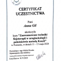 Powiększ obraz: certificate 8
