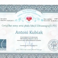 Powiększ obraz: certificate 4