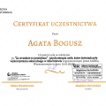 Powiększ obraz: certificate 6