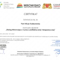 Powiększ obraz: certificate 3