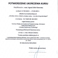 Powiększ obraz: certificate 5