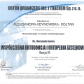 Powiększ obraz: certificate 3