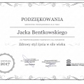 Powiększ obraz: certificate 4