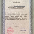 Powiększ obraz: certificate 1