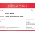 Powiększ obraz: certificate 58