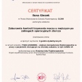 Powiększ obraz: certificate 8