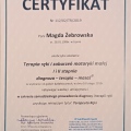 Powiększ obraz: certificate 9