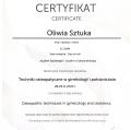 Powiększ obraz: certificate 5