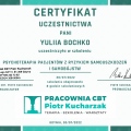 Powiększ obraz: certificate 6